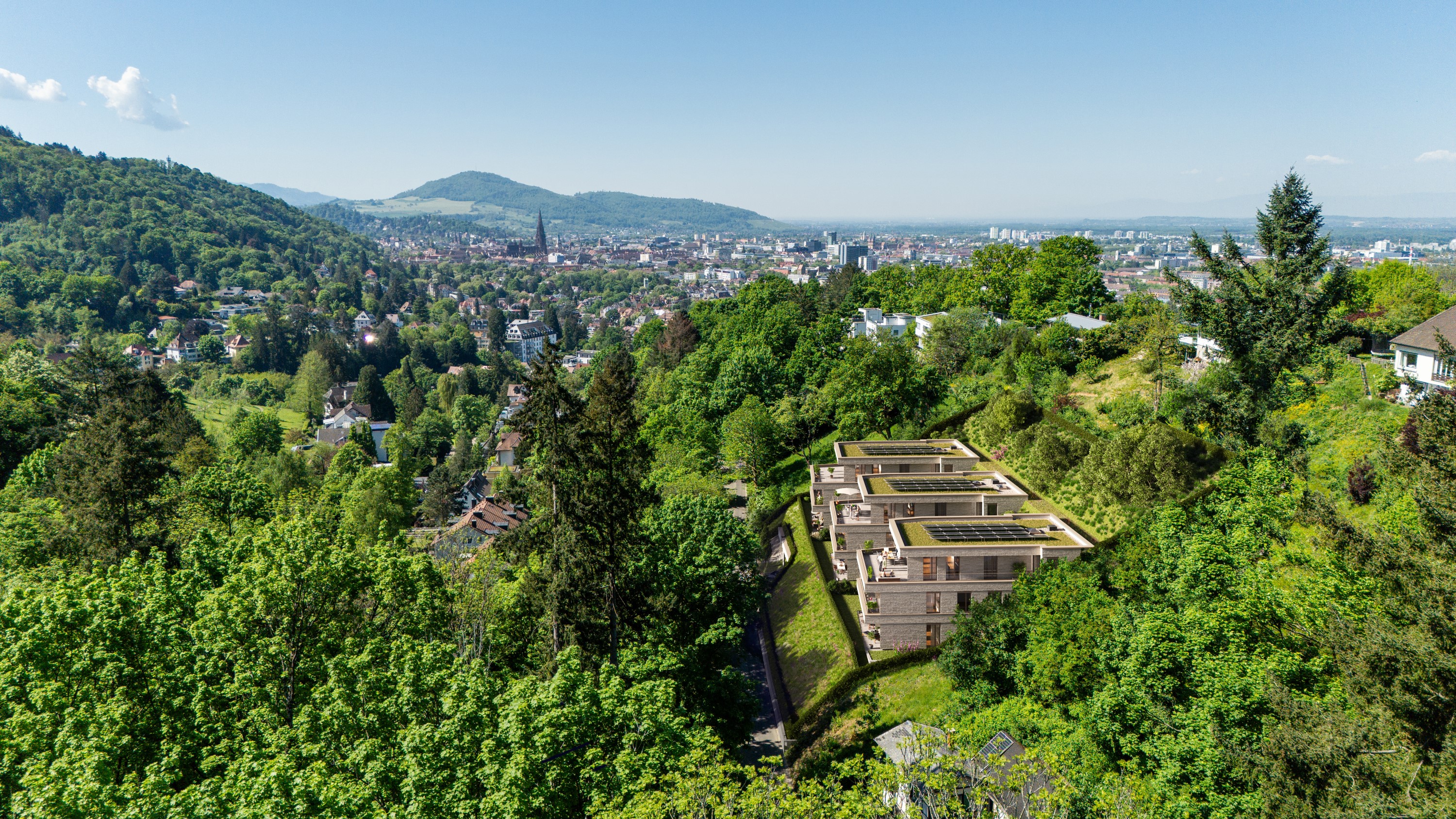 Weitblick
